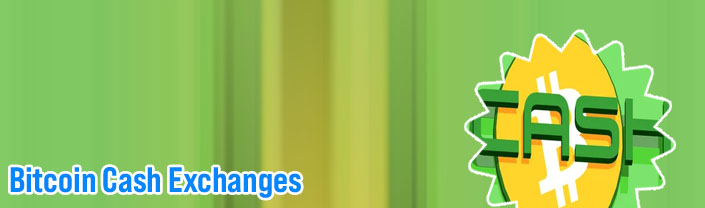Bitcoin cash exchange