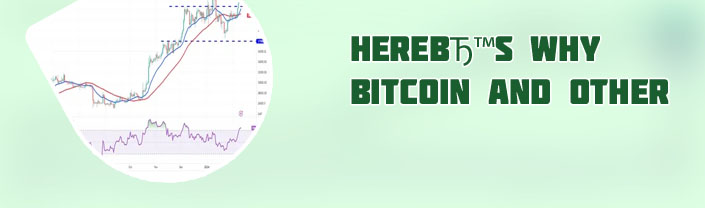 Did bitcoin crash