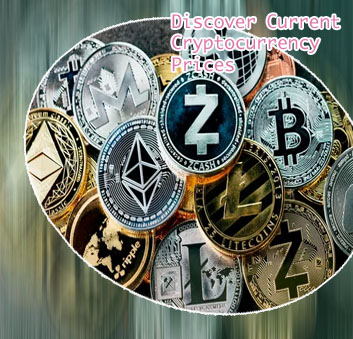 Top 50 cryptocurrencies